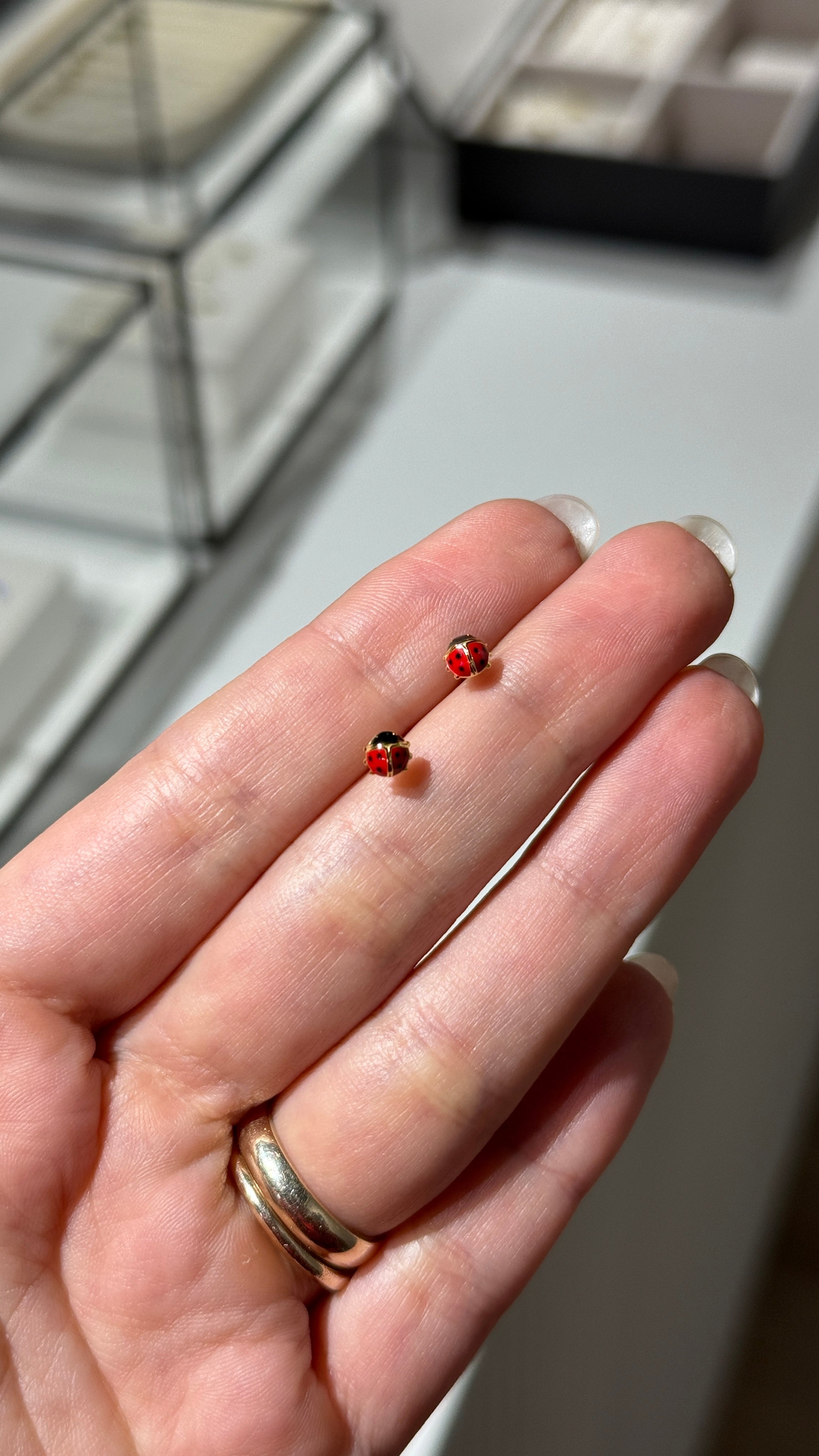 Ladybug
