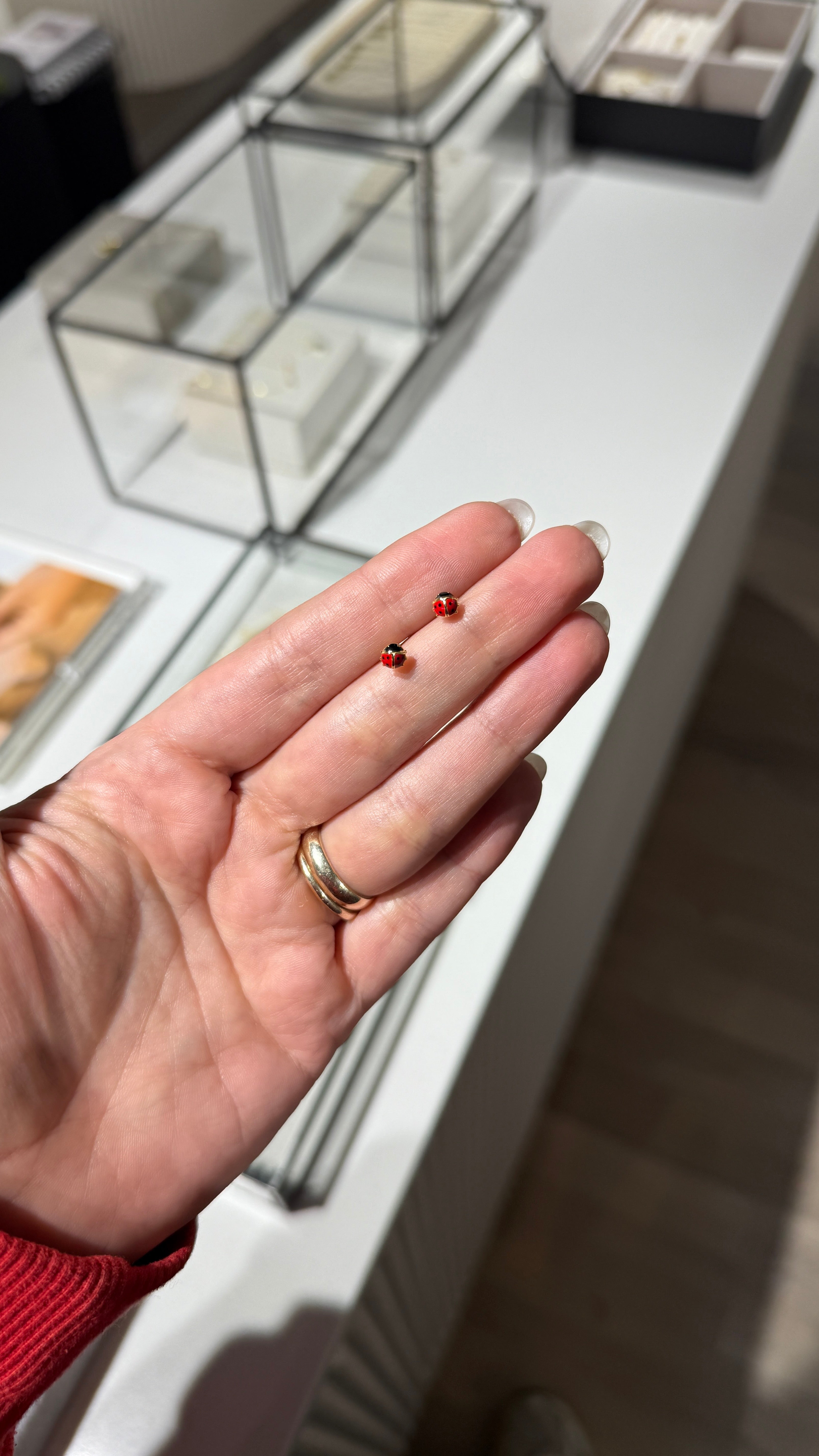 Ladybug